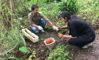 Volunteering at Earthen routes